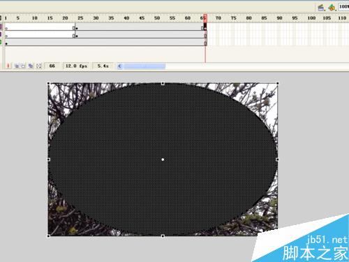 flash制作图片椭圆扩展效果方法介绍
