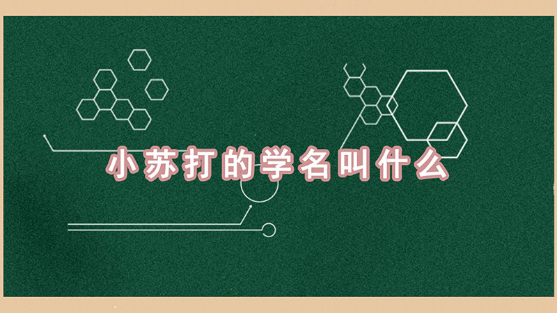 小苏打的学名叫什么