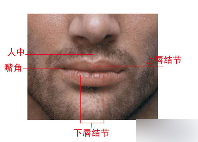 Maya高模全身布线详细教程