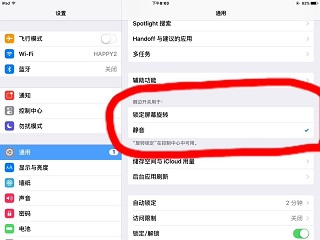 苹果平板如何设置屏幕旋转