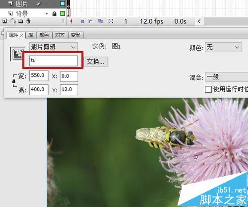 flash怎么制作模糊遮罩效果? flash遮罩动画的制作方法