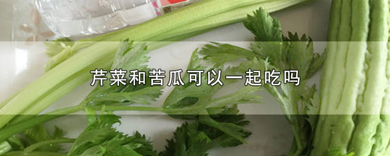 芹菜和苦瓜可以一起吃吗