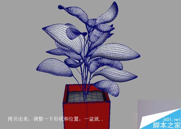 MAYA SSS制作真实的绿色植物材质教程