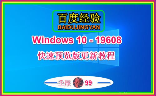 Win10 19608快速预览版怎么手动更新？