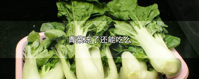 青菜冻了还能吃么