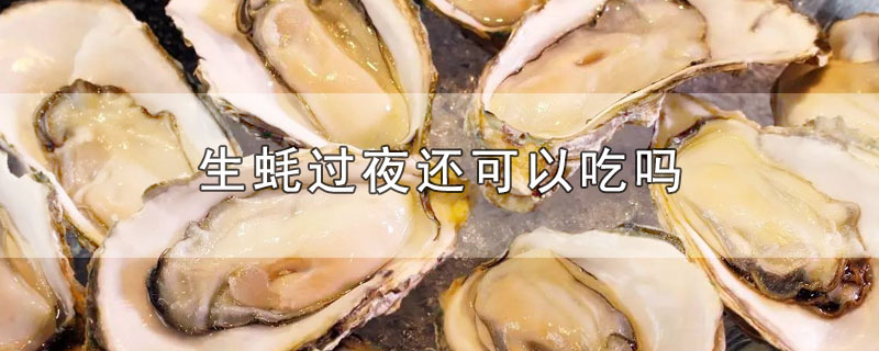 生蚝过夜还可以吃吗