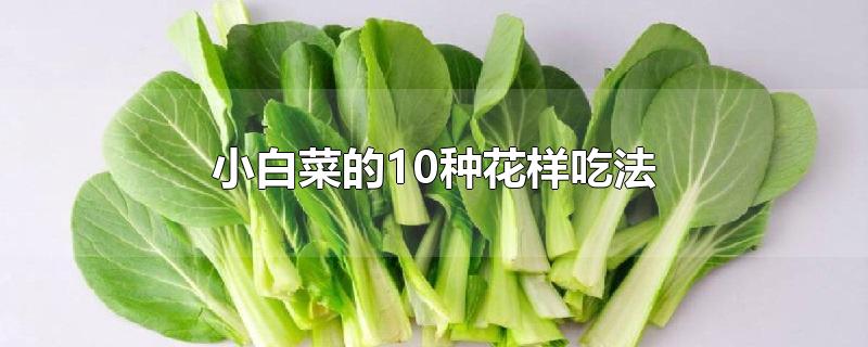 小白菜的10种花样吃法