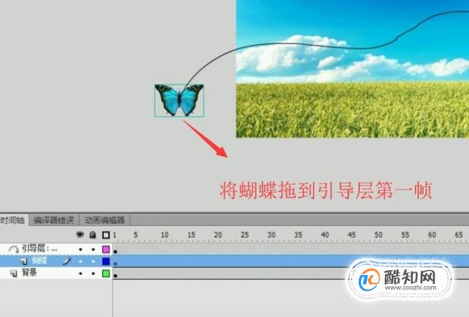 如何利用Flash制作蝴蝶飞舞的动画