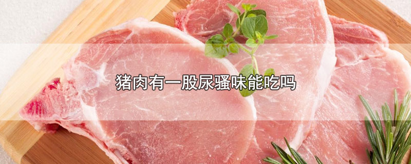 猪肉有一股尿骚味能吃吗