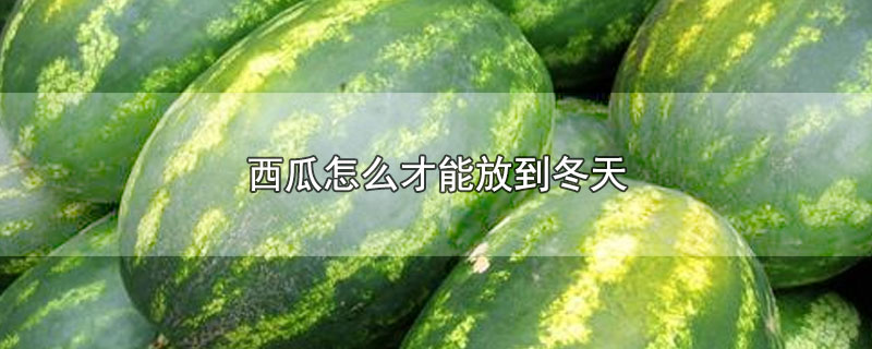 西瓜怎么才能放到冬天