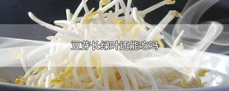 豆芽长绿叶还能吃吗