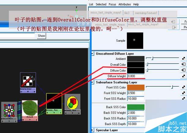 MAYA SSS制作真实的绿色植物材质教程