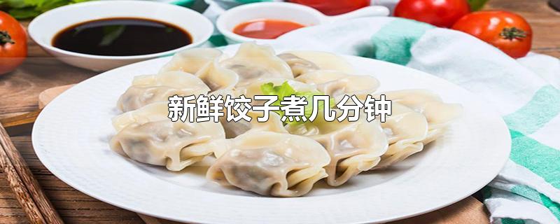 新鲜饺子煮几分钟