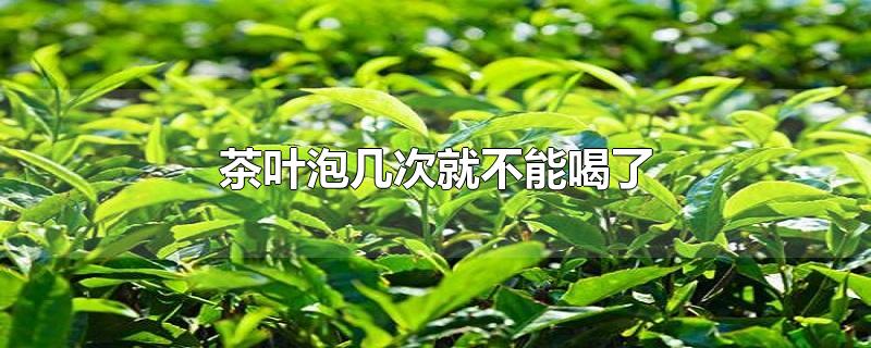 茶叶泡几次就不能喝了