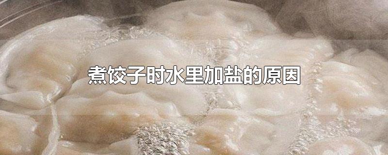 煮饺子时水里加盐的原因