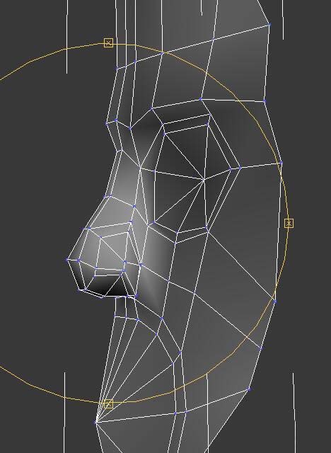 3DMAX2010怎么对人物鼻子建模? 3DMAX鼻子建模的教程