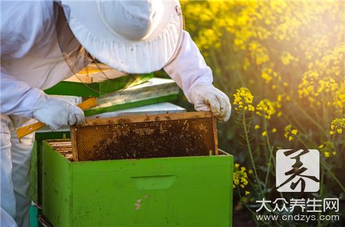  蜂蜜能去黑眼圈吗