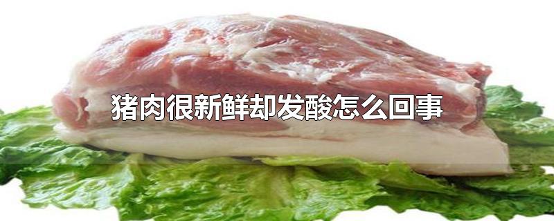 猪肉很新鲜却发酸怎么回事