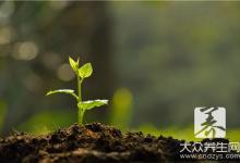 依据居家环境与个人的风水状况 栽植适当的植物改变风水