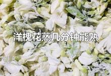 洋槐花蒸几分钟能熟