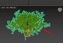 3dsMax怎么修剪植物模型? 3dMax植物模型的修剪方法