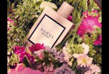 gucci最畅销香水排名，Gucci Bloom、Gucci Floral魅惑木兰很香