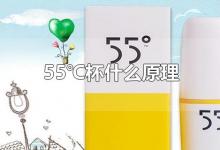 55℃杯什么原理