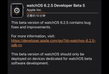 苹果推送watchOS6.2.5开发者预览版Beta5:修复bug 稳定性能