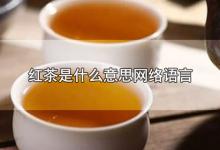 红茶是什么意思网络语言