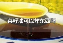 菜籽油可以炸东西吗