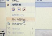 怎样将word中的图片另存为jpg格式的图片