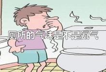 厕所的气味是不是氨气