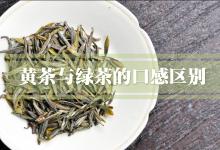 黄茶与绿茶的口感区别