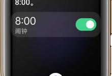 OPPO Watch手表语音助手怎么用? oppo手表语音助手唤醒方法