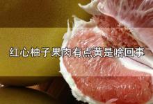 红心柚子果肉有点黄是啥回事