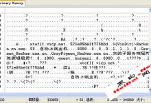 另类破解灰鸽子连接密码(图)