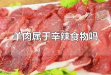 羊肉属于辛辣食物吗