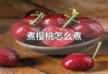 煮樱桃怎么煮