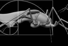 Maya结合ZBrush对生物进行建模的教程