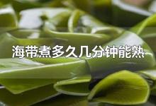 海带煮多久几分钟能熟