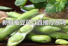 新鲜蚕豆可以直接冷冻吗