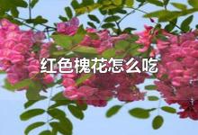 红色槐花怎么吃