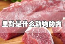 里脊是什么动物的肉