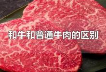 和牛和普通牛肉的区别