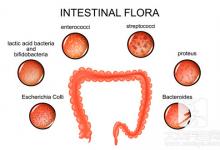 要想长寿，先得“肠寿”，如何判断肠道是否健康？早知早受益
