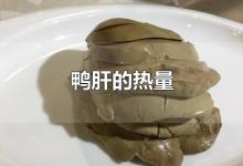 鸭肝的热量