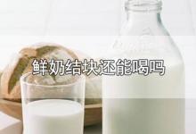 鲜奶结块还能喝吗