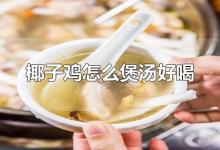 椰子鸡怎么煲汤好喝