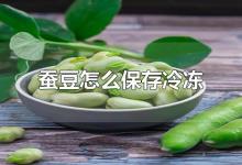 蚕豆怎么保存冷冻