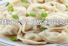 自制水饺8个月放冰箱能吃吗